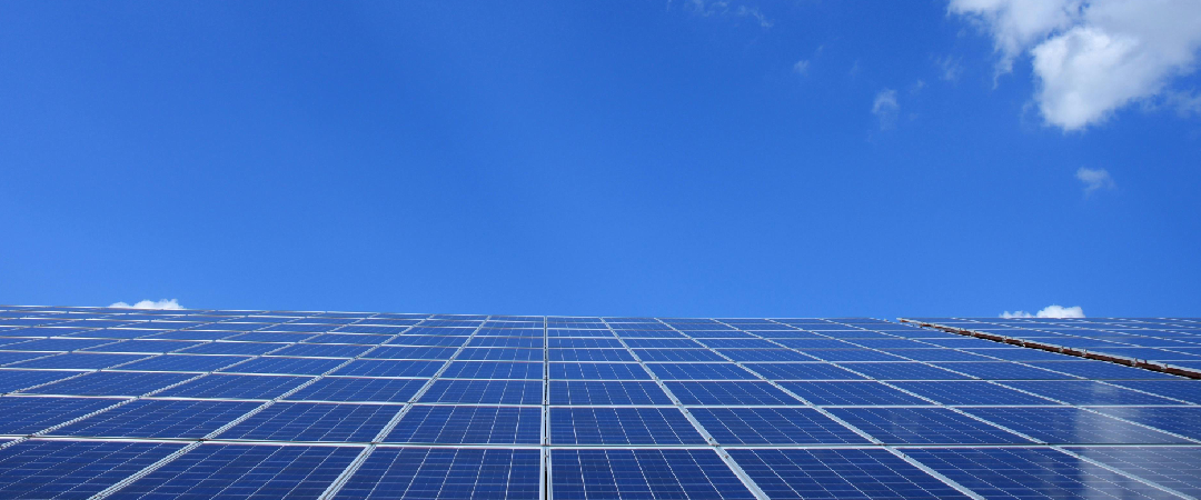 Sustainability